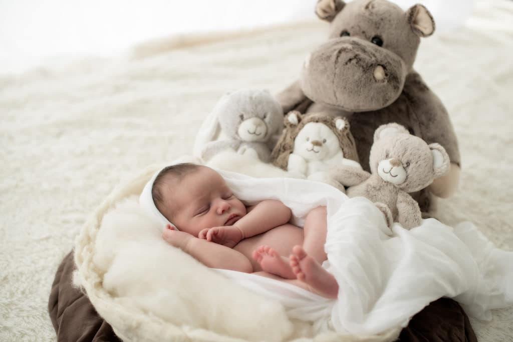 photo nouveau-né avec doudou